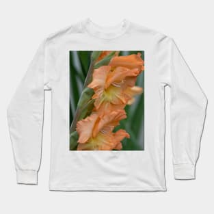 Gladiolus Pretty Peachy Long Sleeve T-Shirt